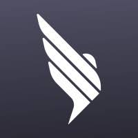 Insured Nomads logo